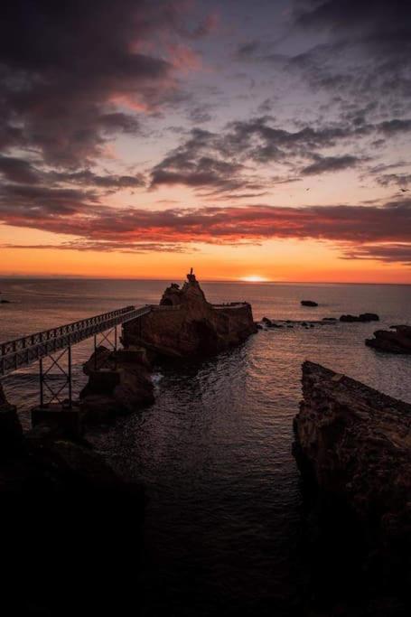 Magnifique T3 - Grande Plage Biarritz Buitenkant foto