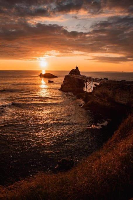 Magnifique T3 - Grande Plage Biarritz Buitenkant foto
